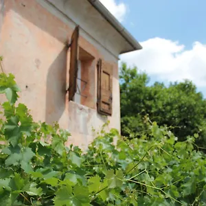 Vigna Holiday home Bassano del Grappa